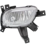 Order Passenger Side Fog Lamp Assembly - KI2593133 For Your Vehicle