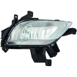 Order Passenger Side Fog Lamp Assembly - KI2593133C For Your Vehicle