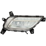 Order Passenger Side Fog Lamp Assembly - KI2593158C For Your Vehicle