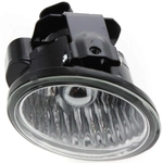 Order Passenger Side Fog Lamp Assembly - NI2593111 For Your Vehicle