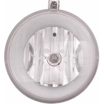 Order Passenger Side Fog Lamp Assembly - CH2592145 For Your Vehicle