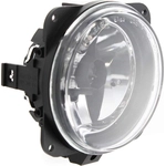 Order Passenger Side Fog Lamp Assembly - FO2592194 For Your Vehicle