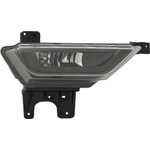 Order Passenger Side Fog Lamp Assembly - FO2593264 For Your Vehicle