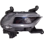 Order Passenger Side Fog Lamp Assembly - HY2593172 For Your Vehicle