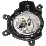 Order Passenger Side Fog Lamp Assembly - KI2593117 For Your Vehicle
