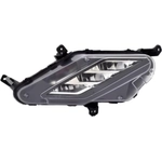 Order Passenger Side Fog Lamp Assembly - KI2593176 For Your Vehicle