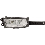 Order Passenger Side Fog Lamp Assembly - LX2593122 For Your Vehicle