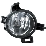 Order Passenger Side Fog Lamp Assembly - NI2593118 For Your Vehicle