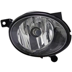 Order Various Manufacturers
 - VW2593120C - Passenger Side Fog Lamp Assembly For Your Vehicle