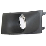 Order VARIOUS MANUFACTURERS - FO2599101 - Passenger Side Fog Lamp Cover For Your Vehicle