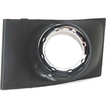 Order VARIOUS MANUFACTURERS - FO2599101 - Passenger Side Fog Lamp Cover For Your Vehicle