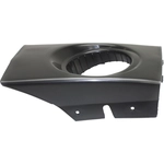 Order VARIOUS MANUFACTURERS - HY2599100 - Passenger Side Fog Lamp Cover For Your Vehicle