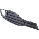 Order Passenger Side Front Bumper Insert - BM1039121 For Your Vehicle