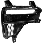 Order Passenger Side Front Bumper Insert by SHERMAN PARTS - KIFORT19-95-2 For Your Vehicle