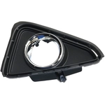 Order Passenger Side Front Bumper Insert by SHERMAN PARTS - LXNX3015A-95-2 For Your Vehicle