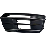 Order Passenger Side Front Bumper Insert - AU1039146 For Your Vehicle