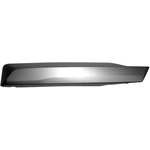 Order Moulure de pare-chocs avant côté passager - BM1047148 For Your Vehicle