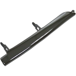 Order Passenger Side Front Bumper Molding - LX1047101 For Your Vehicle