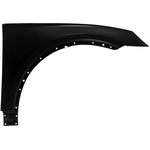 Order Passenger Side Front Fender Assembly - AU1241141C For Your Vehicle