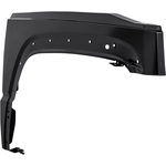 Order Passenger Side Front Fender Assembly - CH1241265C For Your Vehicle