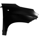 Order Passenger Side Front Fender Assembly - FI1241101 For Your Vehicle