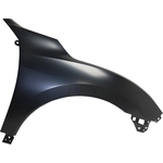 Order VARIOUS MANUFACTURERS - HO1241192 - Passenger Side Front Fender Assembly For Your Vehicle