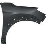 Order Passenger Side Front Fender Assembly - HY1241165 For Your Vehicle