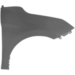 Order Passenger Side Front Fender Assembly - HY1241176C For Your Vehicle