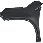 Order Passenger Side Front Fender Assembly - KI1241139 For Your Vehicle