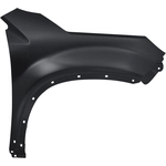 Order Passenger Side Front Fender Assembly - KI1241140 For Your Vehicle