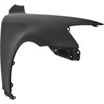 Order Passenger Side Front Fender Assembly - LX1241130C For Your Vehicle