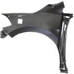 Order Passenger Side Front Fender Assembly - NI1241187 For Your Vehicle