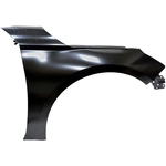 Order Passenger Side Front Fender Assembly - NI1241234 For Your Vehicle