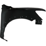 Order Passenger Side Front Fender Assembly - NI1241235 For Your Vehicle