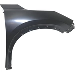 Order Passenger Side Front Fender Assembly by SHERMAN PARTS - NIROGU21A-31-2 For Your Vehicle