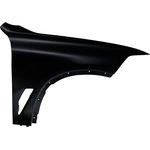 Order Passenger Side Front Fender Assembly - BM1241174C For Your Vehicle