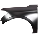 Order Passenger Side Front Fender Assembly - FO1241324 For Your Vehicle