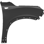 Order Passenger Side Front Fender Assembly - HY1241179 For Your Vehicle