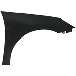 Order Passenger Side Front Fender Assembly - HY1241180 For Your Vehicle