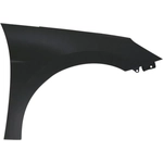 Order Passenger Side Front Fender Assembly - HY1241180C For Your Vehicle