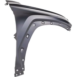 Order Passenger Side Front Fender Assembly - HY1241181 For Your Vehicle