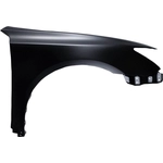 Order Passenger Side Front Fender Assembly - LX1241113C For Your Vehicle