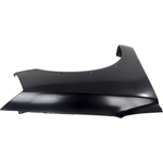 Order Passenger Side Front Fender Assembly - NI1241193 For Your Vehicle