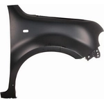 Order Passenger Side Front Fender Assembly - NI1241197C For Your Vehicle