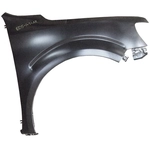 Order Passenger Side Front Fender Assembly - NI1241210 For Your Vehicle