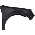 Order Passenger Side Front Fender Assembly - VW1241137 For Your Vehicle