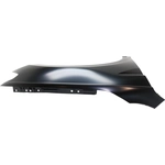 Order Passenger Side Front Fender Assembly - VW1241150C For Your Vehicle