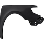 Order Passenger Side Front Fender Assembly - VW1241140 For Your Vehicle