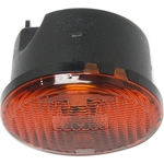 Order Passenger Side Front Signal Lamp - CH2531103 For Your Vehicle