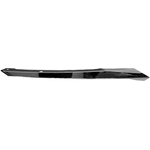 Order Passenger Side Grille Molding - HO1213117 For Your Vehicle